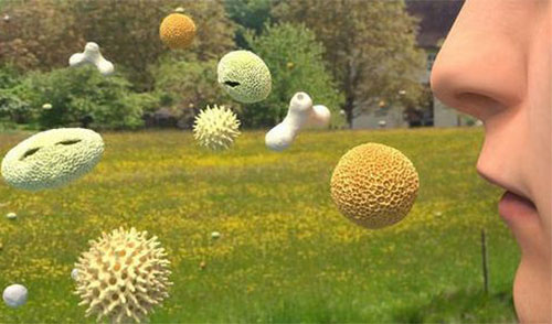 �����Ա�����θ��� ���Ӧ�Թ����Ա���